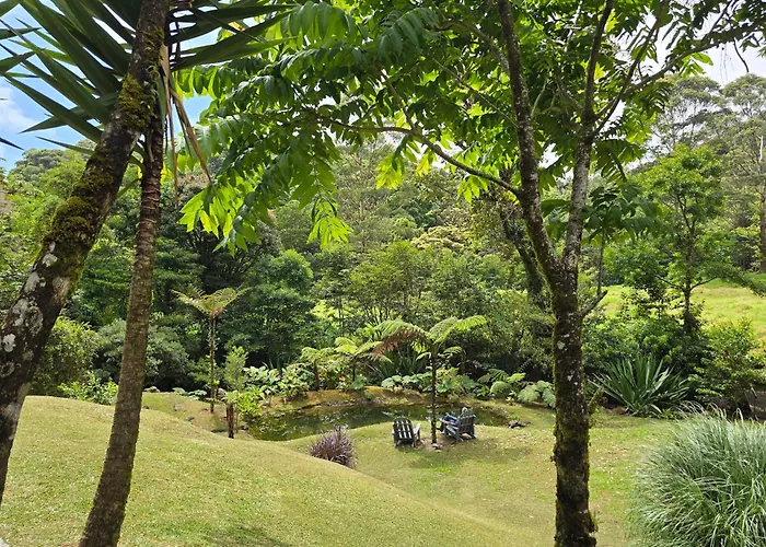 Monteverde Casa Mia, Near Main Attractions And Town!