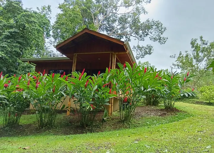Gambas Lodge